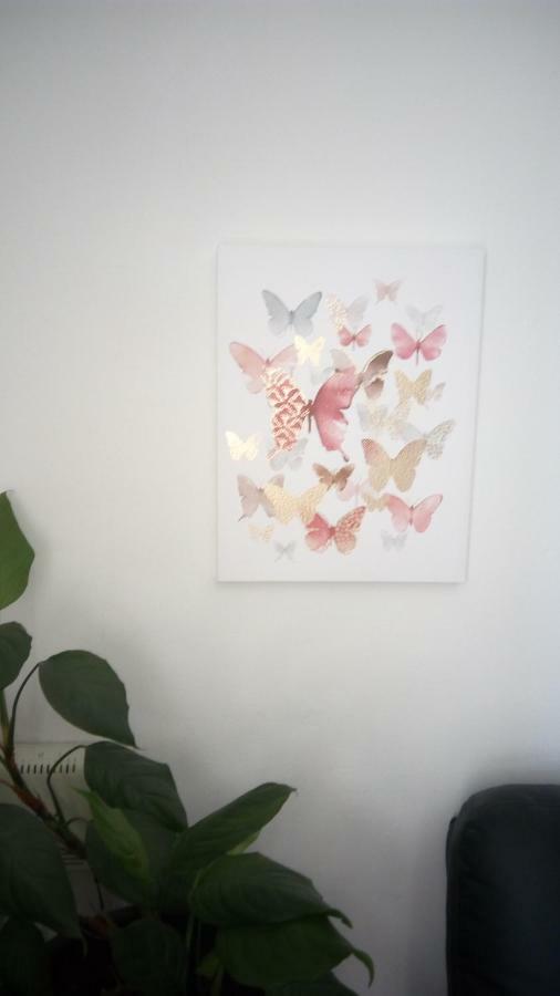 Apartment Butterfly Split - For Rest And Relaxation Luaran gambar